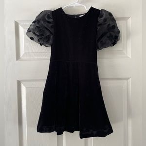 Zara Velvet Dress with Puffed sleeves